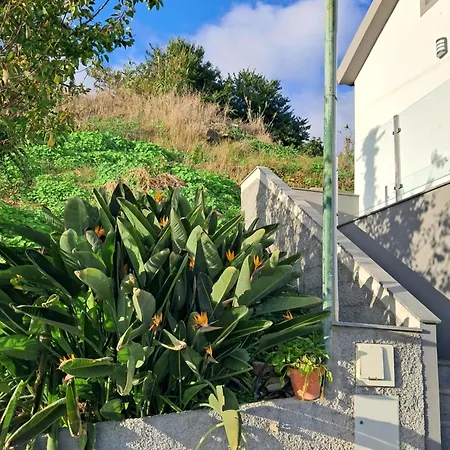 Casa Noronha 1 아파트 *